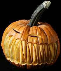 http://ptnoticias.com/pumpkinway/